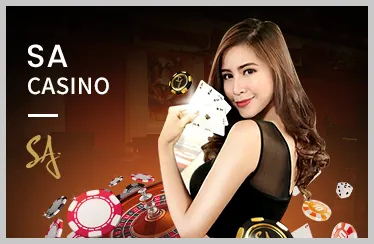 Đấu trường gà chọi kịch tính